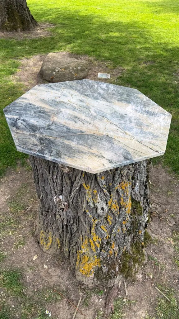 Plateau de Table en Quarzite Iron Blue naturel Modèle L’Électrique
