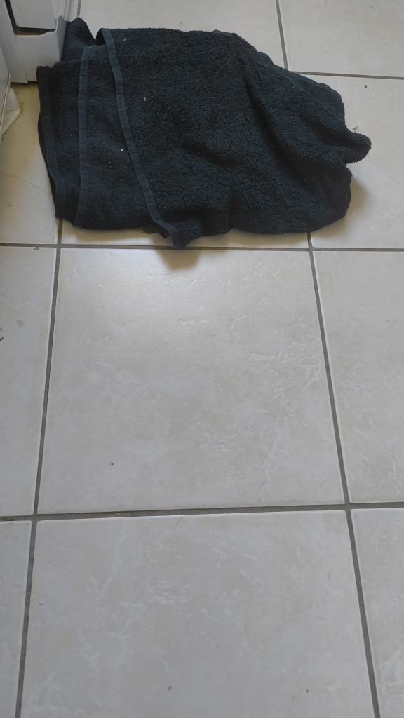 Photo N°4